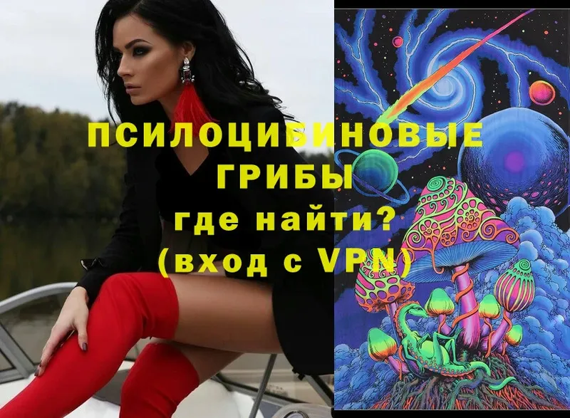 Псилоцибиновые грибы Magic Shrooms  Уржум 